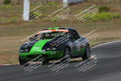 media/May-04-2024-Lucky Dog Racing (Sat) [[d39539b3f3]]/Race Pics/1045am (Turn 6)/